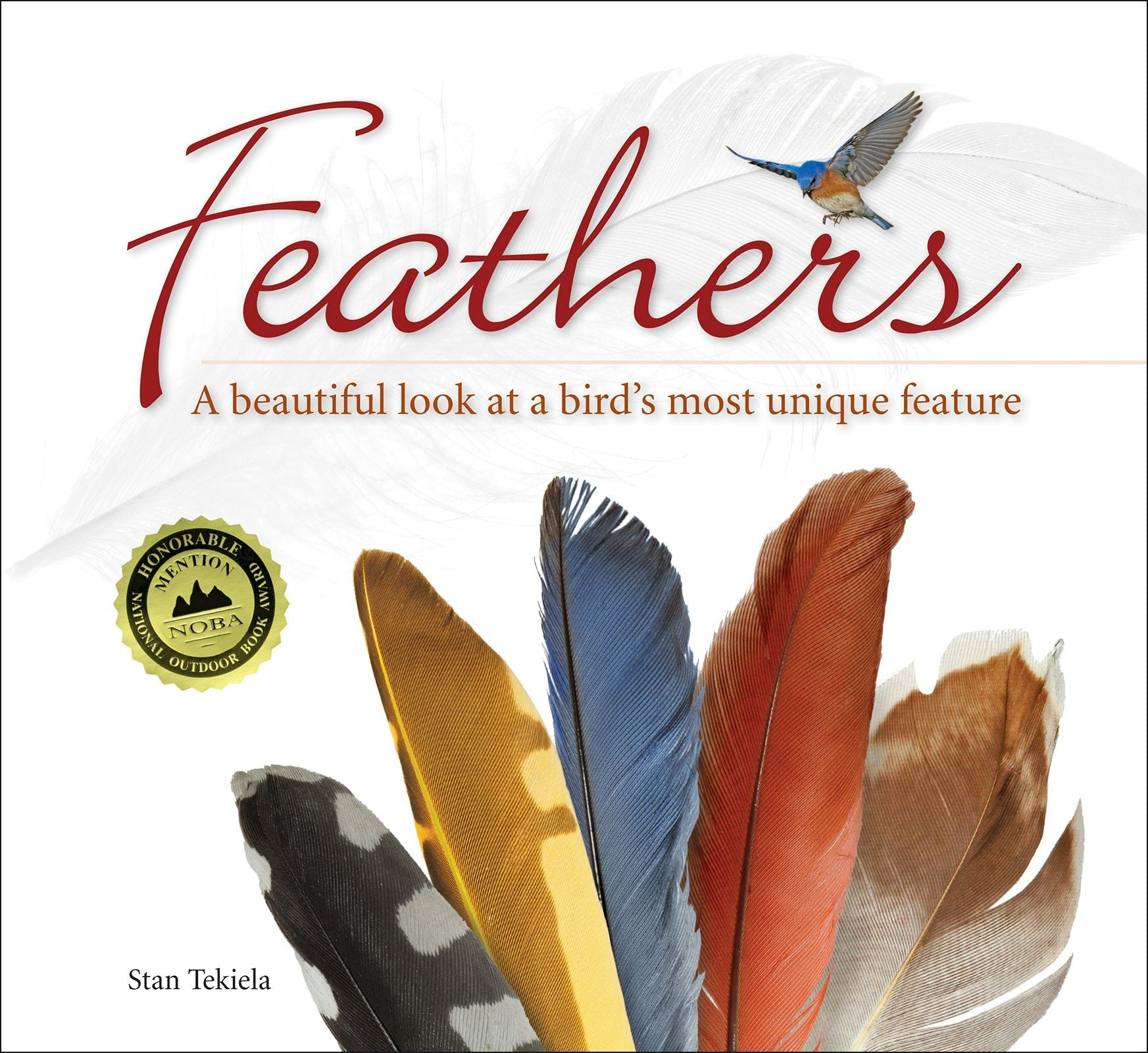 Book cover image for Feathers ISBN: 9781591934936